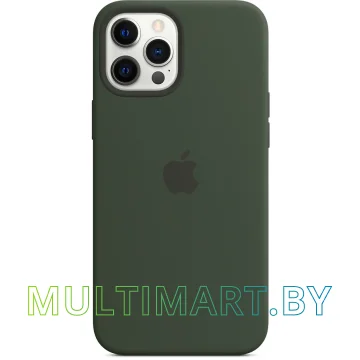 Чехол для телефона Apple MagSafe Silicone Case для iPhone 12 Pro Max (кипрский зеленый)
